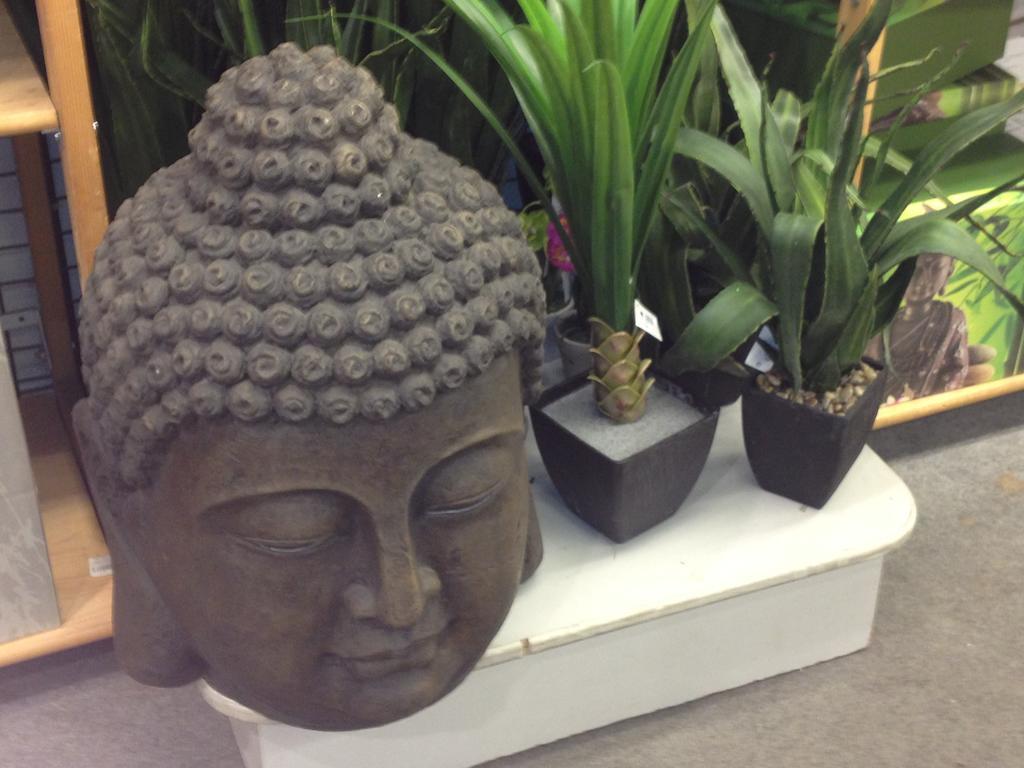 Bed & Breakfast Junior Tour Eiffel 4*