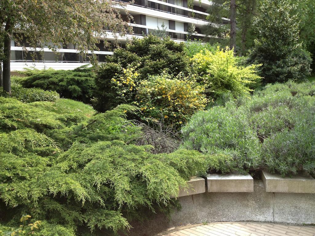 Bed & Breakfast Junior Tour Eiffel